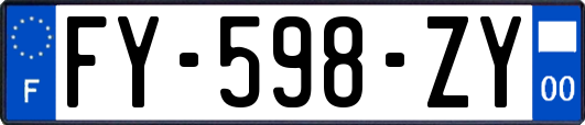 FY-598-ZY
