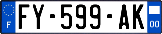 FY-599-AK