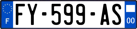 FY-599-AS