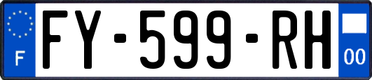 FY-599-RH