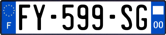 FY-599-SG