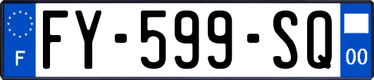 FY-599-SQ