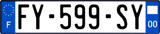 FY-599-SY