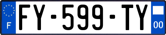 FY-599-TY