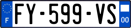 FY-599-VS