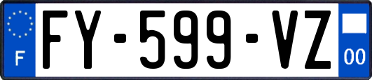 FY-599-VZ