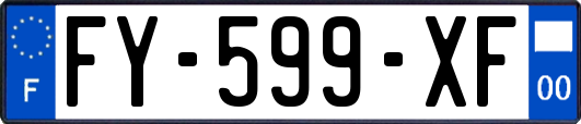FY-599-XF