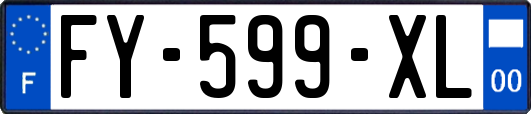 FY-599-XL