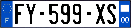 FY-599-XS