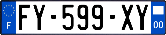 FY-599-XY