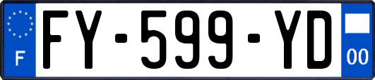 FY-599-YD