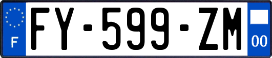 FY-599-ZM