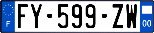 FY-599-ZW