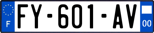 FY-601-AV