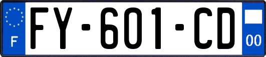 FY-601-CD