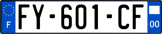 FY-601-CF