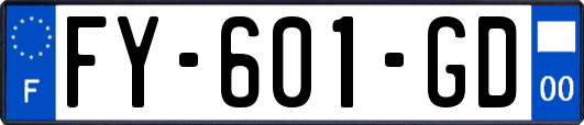 FY-601-GD