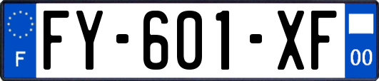 FY-601-XF