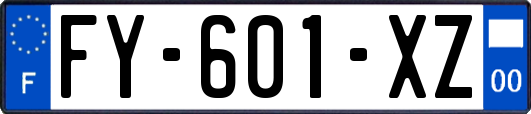 FY-601-XZ
