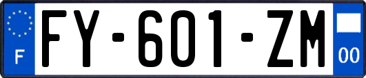 FY-601-ZM