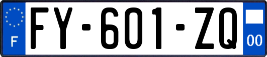 FY-601-ZQ