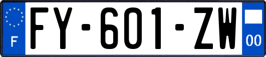 FY-601-ZW