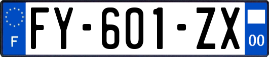 FY-601-ZX