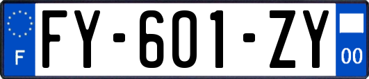 FY-601-ZY