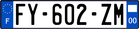 FY-602-ZM