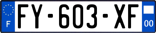 FY-603-XF
