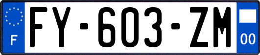 FY-603-ZM