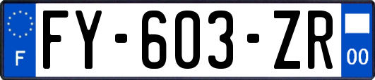 FY-603-ZR