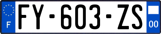 FY-603-ZS