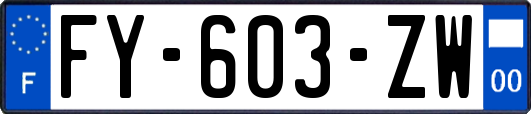 FY-603-ZW