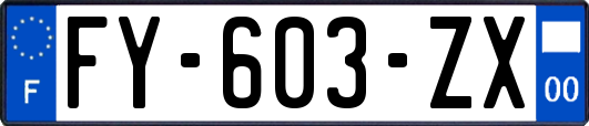 FY-603-ZX