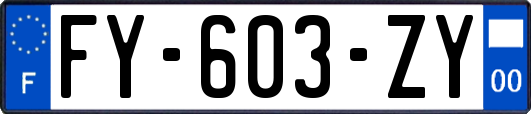 FY-603-ZY