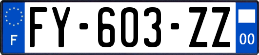FY-603-ZZ