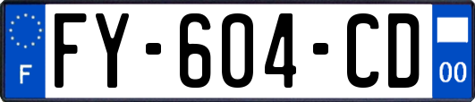 FY-604-CD