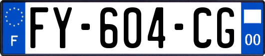 FY-604-CG