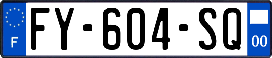 FY-604-SQ