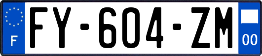 FY-604-ZM