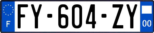 FY-604-ZY