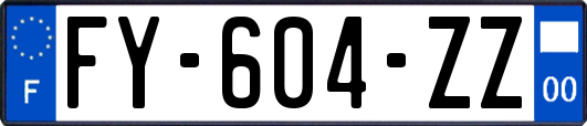 FY-604-ZZ