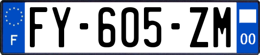 FY-605-ZM
