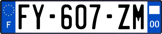 FY-607-ZM