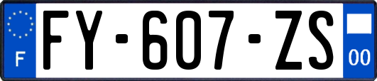 FY-607-ZS