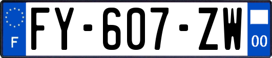 FY-607-ZW