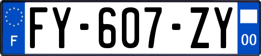 FY-607-ZY