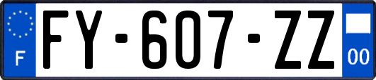 FY-607-ZZ