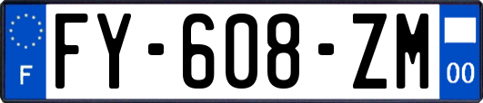 FY-608-ZM